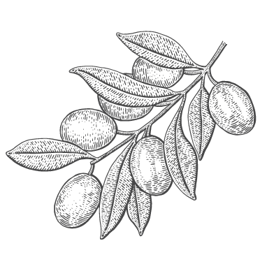 Olive_Graphite-11 Olive_Graphite-11